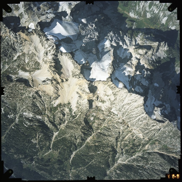 Color aerial photograph of glacier and snowfields on mountain peak with forested valleys below.