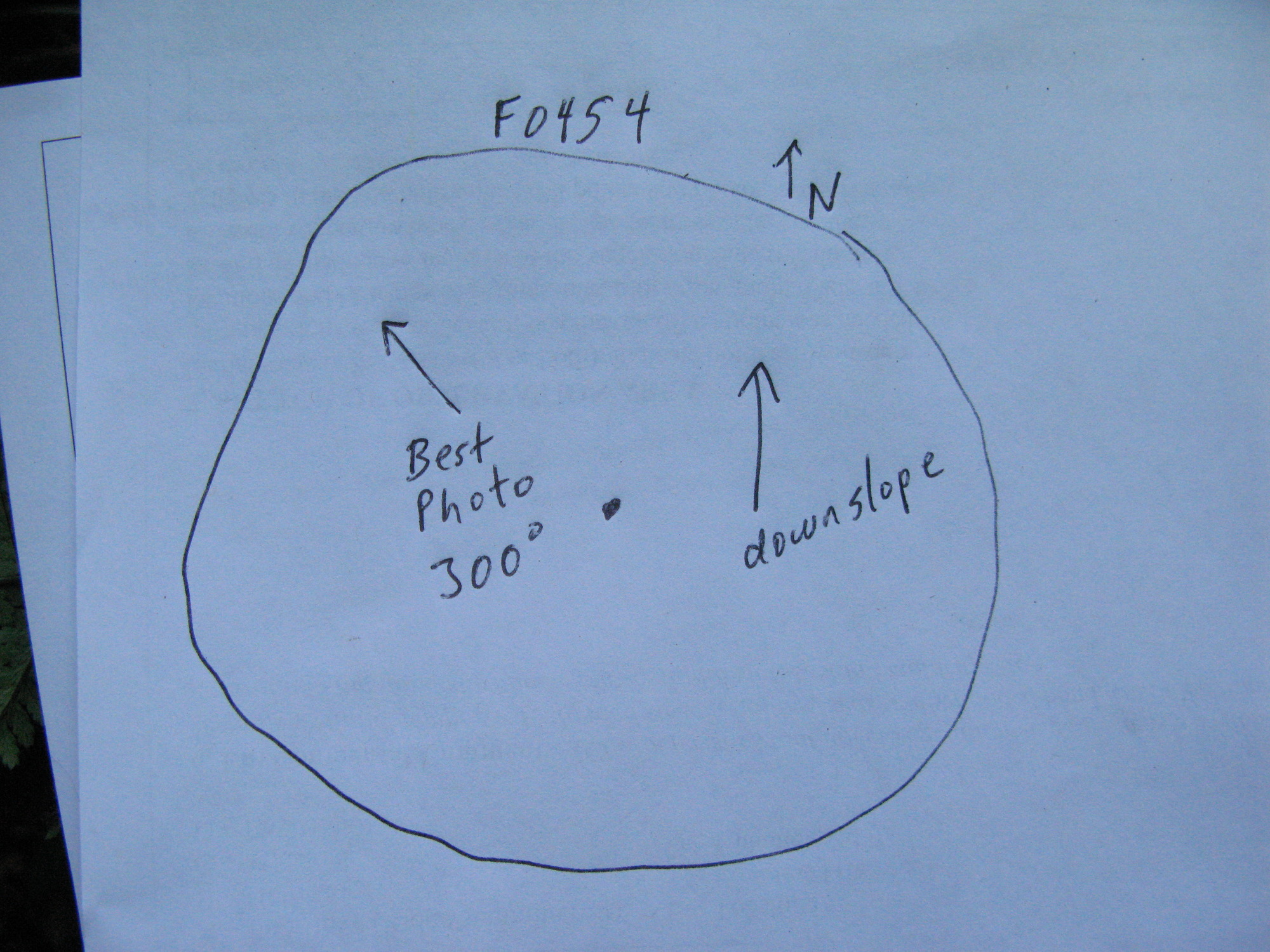 GRSM Accuracy Assessment. Plot Code: GRSM_AA_0454_7