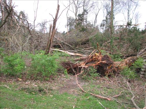 Photos taken in the aftermath of April 10, 2009, tornado at Stones River National Battlefield