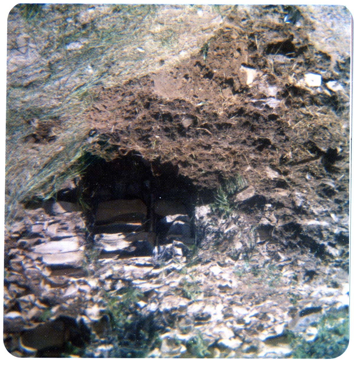 The sealing off of Sawmill Spring.