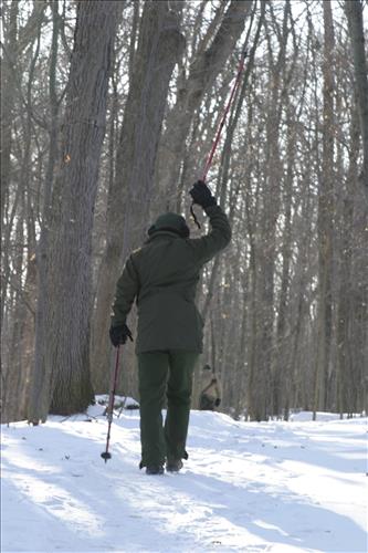 Winter Hiking at Stanford
