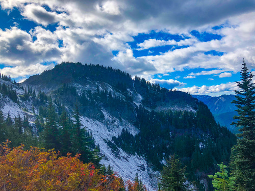 Fall colors and conifer trees trail along a snow-dusted rocky ridge. 