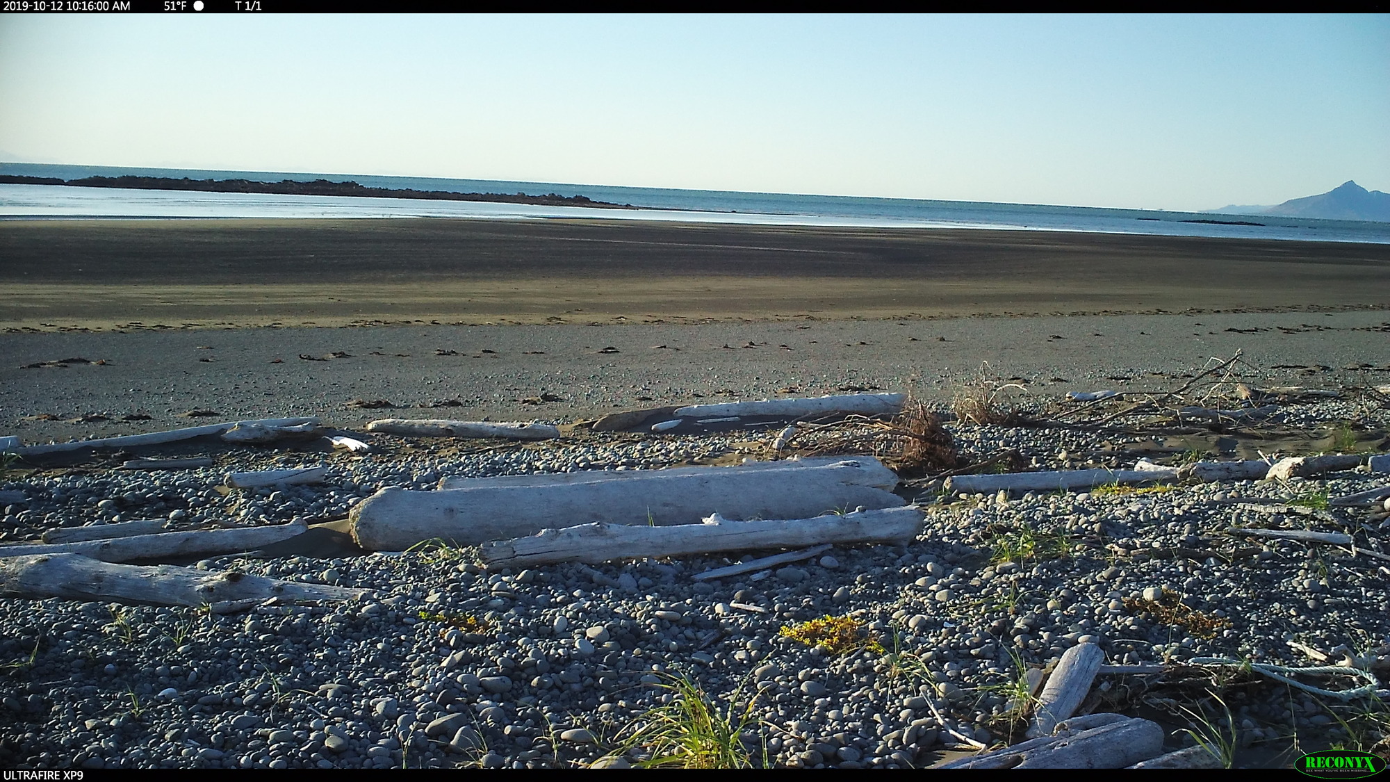photo data from Katmai National Park. Data accompanies manuscript "Wolves on the Katmai coast hunt sea otters and harbor seals"