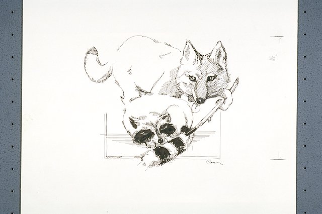 Illustration depicts the Nez Perce story of how the raccoon got a striped tail. Coyote is depicted painting raccoon's tail.