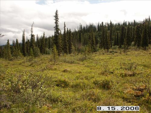 3 Small Mammal Survey in Denali National Park and Preserve in August 2006
