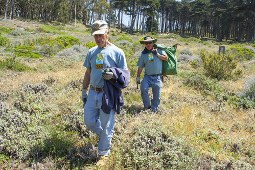 Two volunteers in the Presidio carrying pulled invasive plants.
