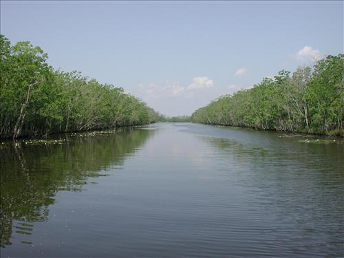 Restoration of abandoned oil and gas canal at the Barataria Preserve