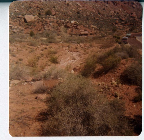 The Springdale water pipeline during construction.