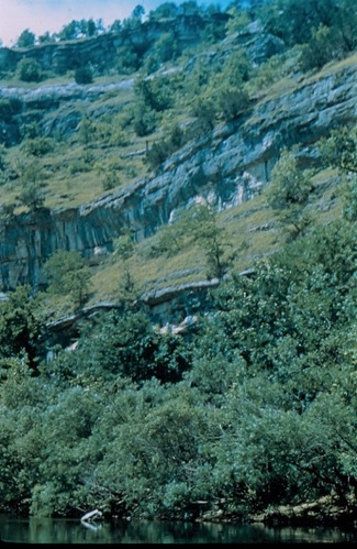 River reflecting trees at bottom with gray layers of rock center to top.