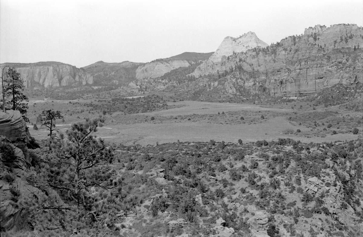 BW photo of the 1937 grazing study 35MM.