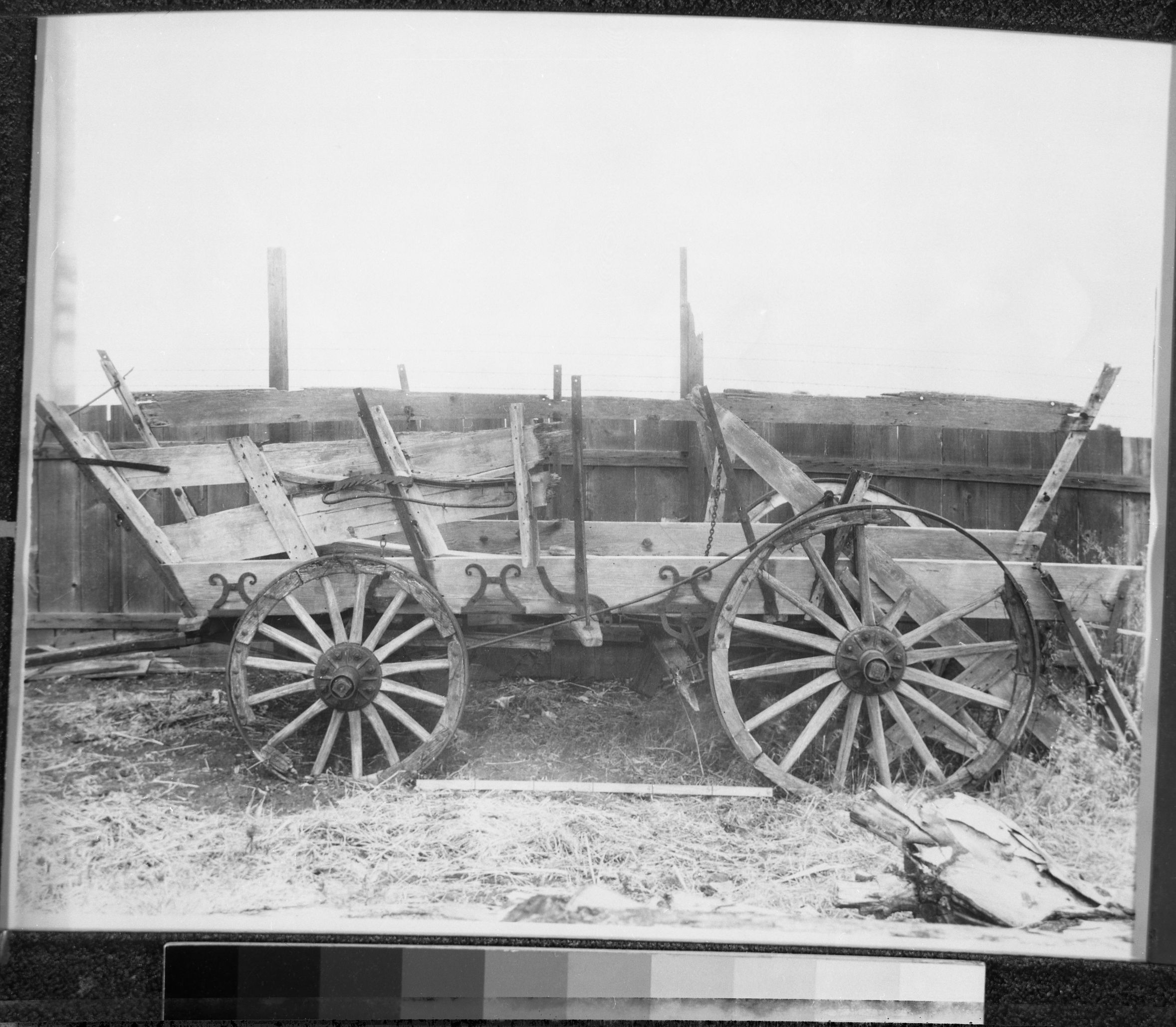 Williams freighter wagon, made in Pennsylvania and brought to Calif. in about 1849 for use in shipping supplies to the Southern Mines from Stockton. After gold rush, this wagon was used for hauling grain to the waterfront in Stockton. From the Pioneer Museum & Haggin Galleries, Stockton, CA loaned to YNP & reconstructed in Wawona.