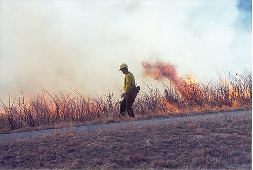 Spotsylvania courthouse prescribed burn, 2004