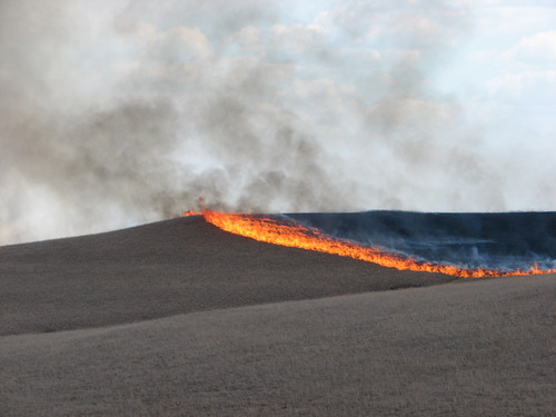 A thick line of fire sweeps across grassy hills.