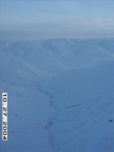 1 Gates of the Arctic National Park and Preserve Koyukuk Moose Survey 2004
