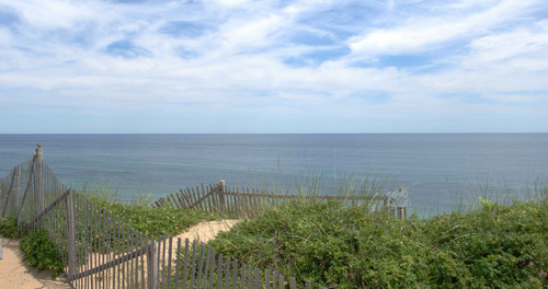 Blue ocean is visible beyond a wooden fence and green shrubbery 