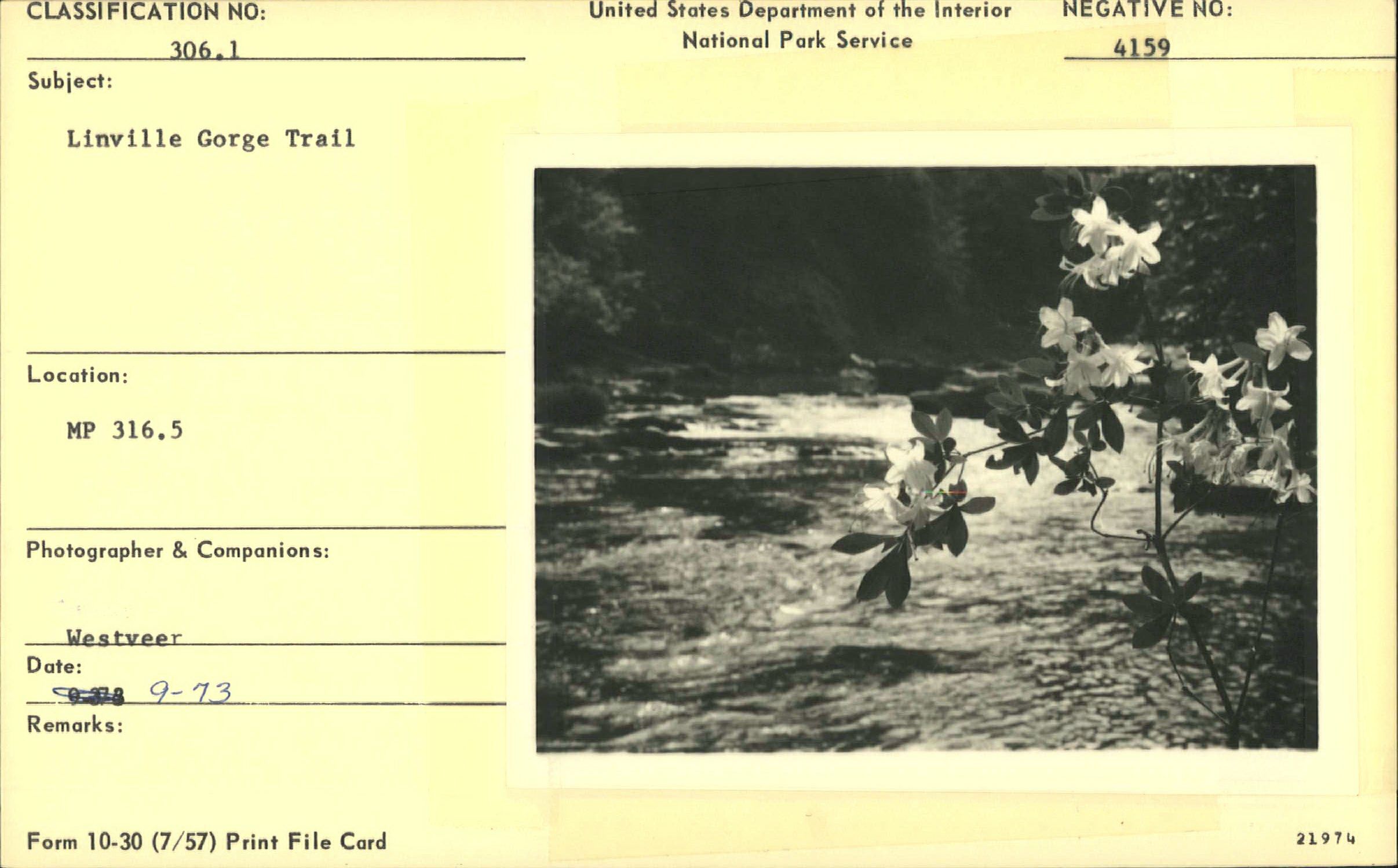 Linville Gorge Trail