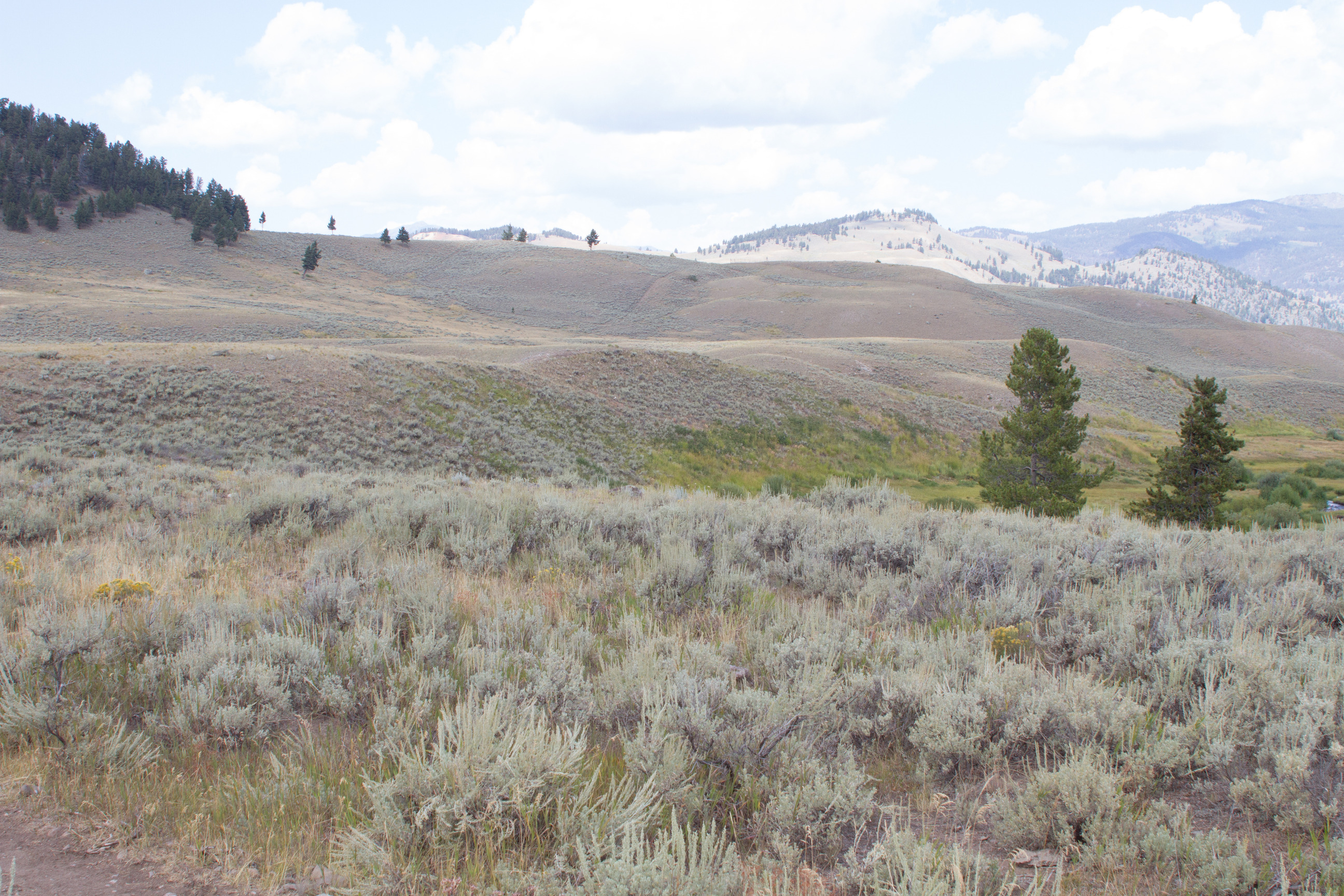 Looking across open sagebrush covered hills at a trail in the distance.