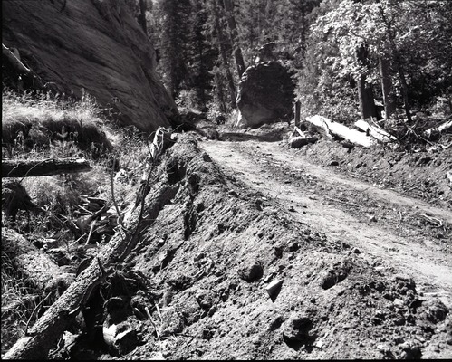 Dirt road from Potato Hollow to Kolob Creek with 3-4 feet of dirt pushed into dry stream course.