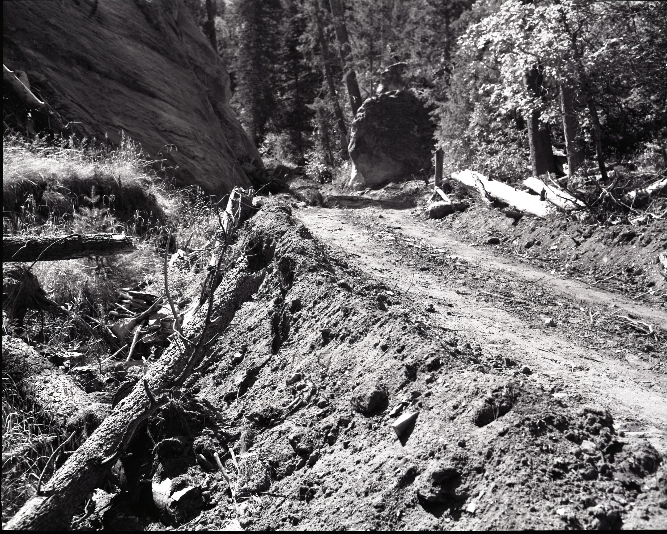 Dirt road from Potato Hollow to Kolob Creek with 3-4 feet of dirt pushed into dry stream course.