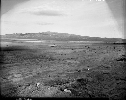 State land adjacent to proposed development area of Taylor Creek, section 29, T 38 S, R 12 W.