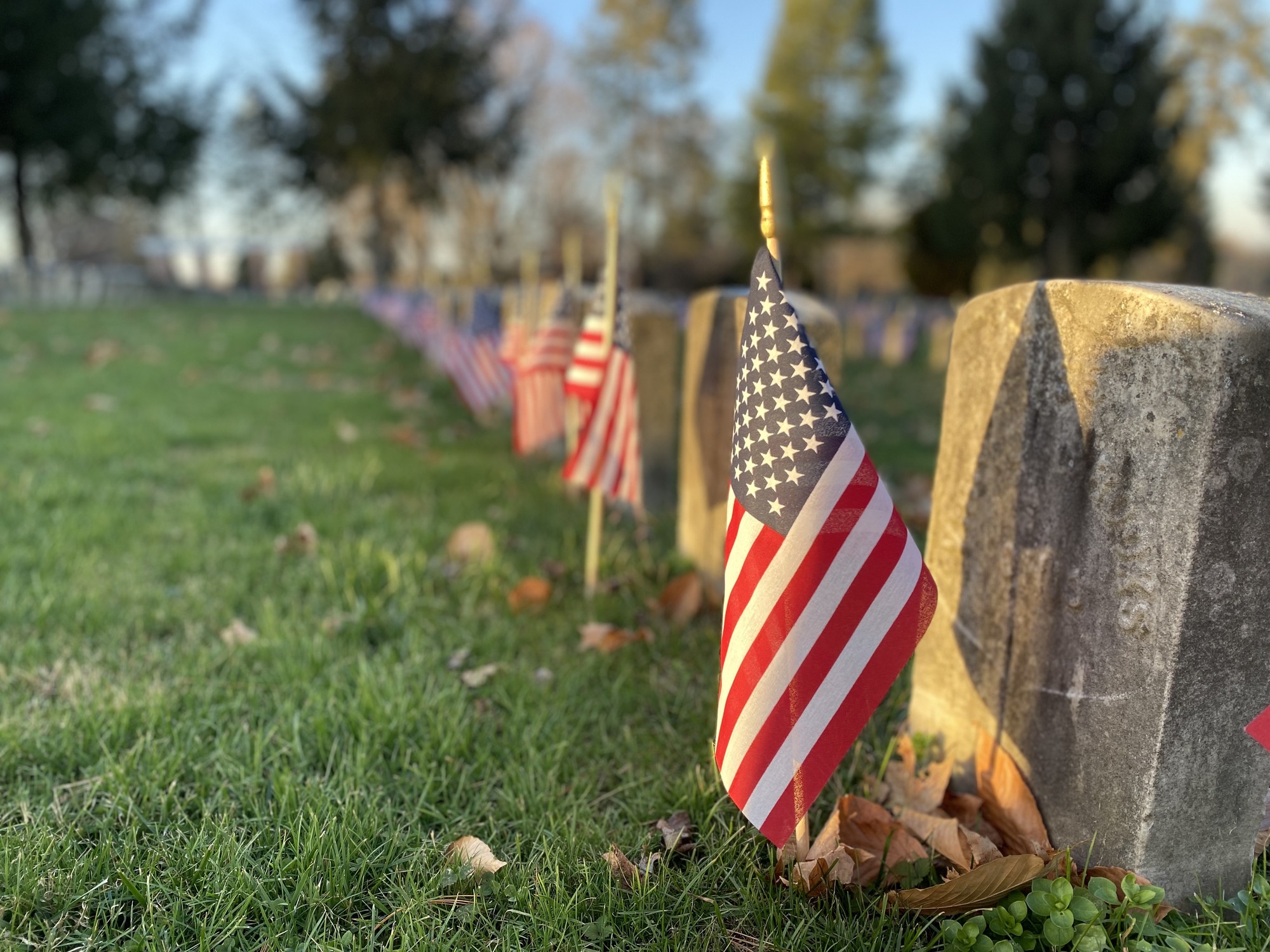 A row of cemetery headstones decorated with small U.S. flags