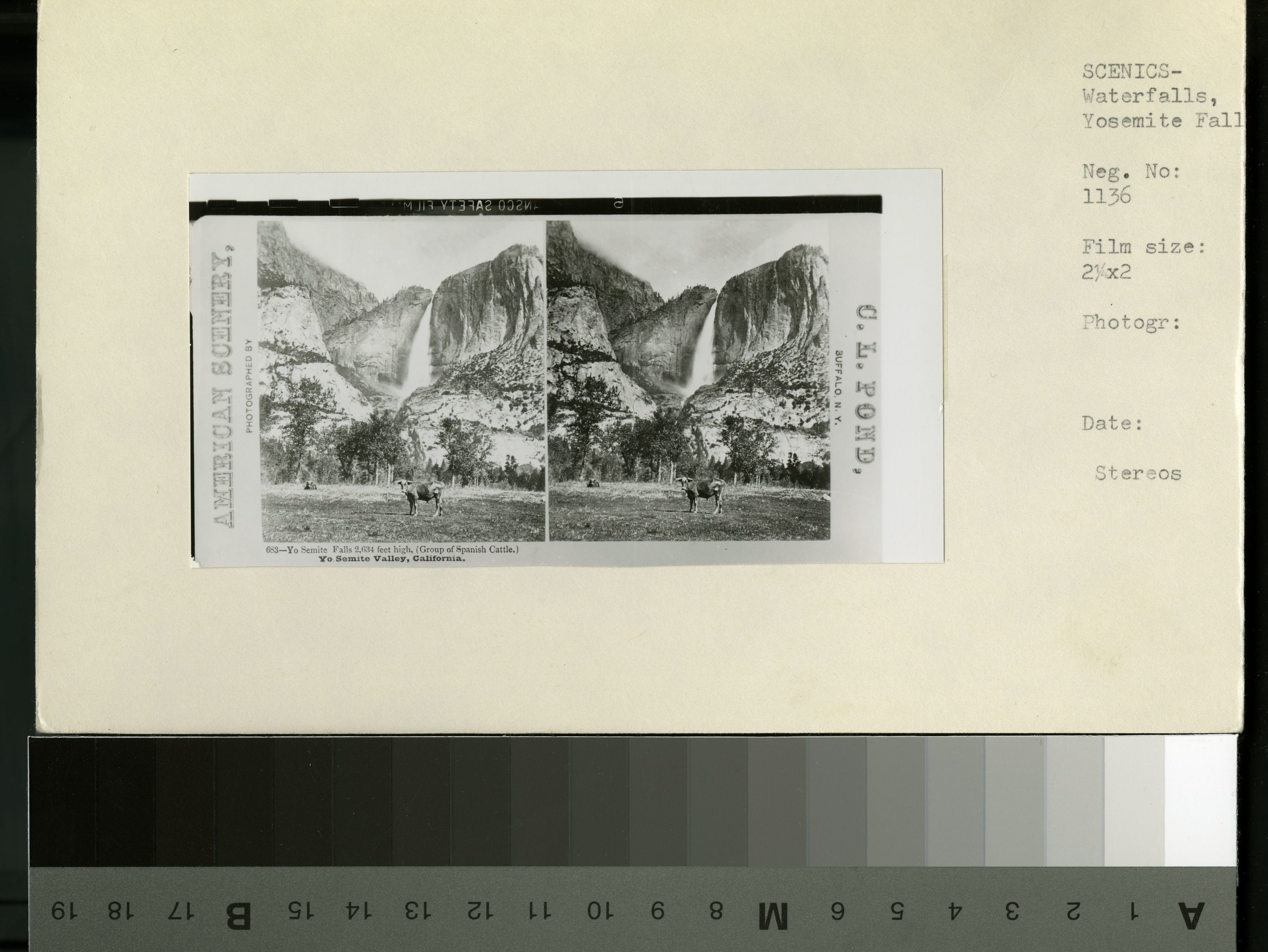 YOSE RL_01136.2
