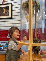 A small child looks into a clear tube, with a parachute inside. 