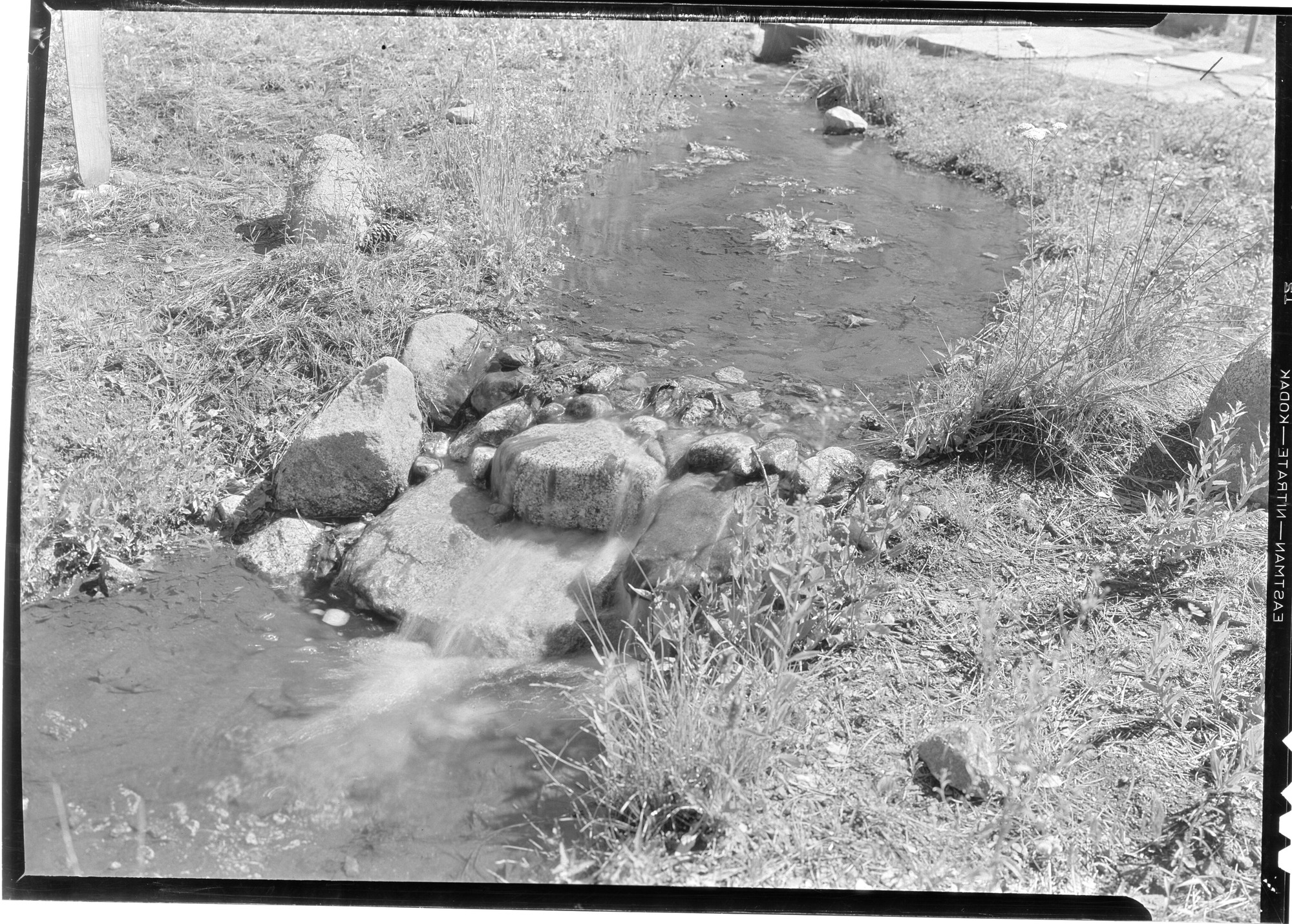Yosemite Museum Wildflower Garden