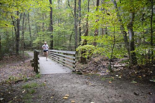 Fall Fun Run in the woods