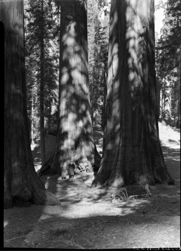 Clair Engle (Representative of 2nd District Calif.) and Supt. John C. Preston.