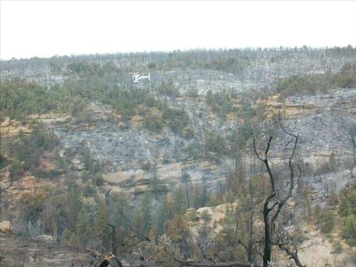 Aerial views of burned forest areas resulting from the  Long Mesa Fire, Mesa Verde National Park, August 2002