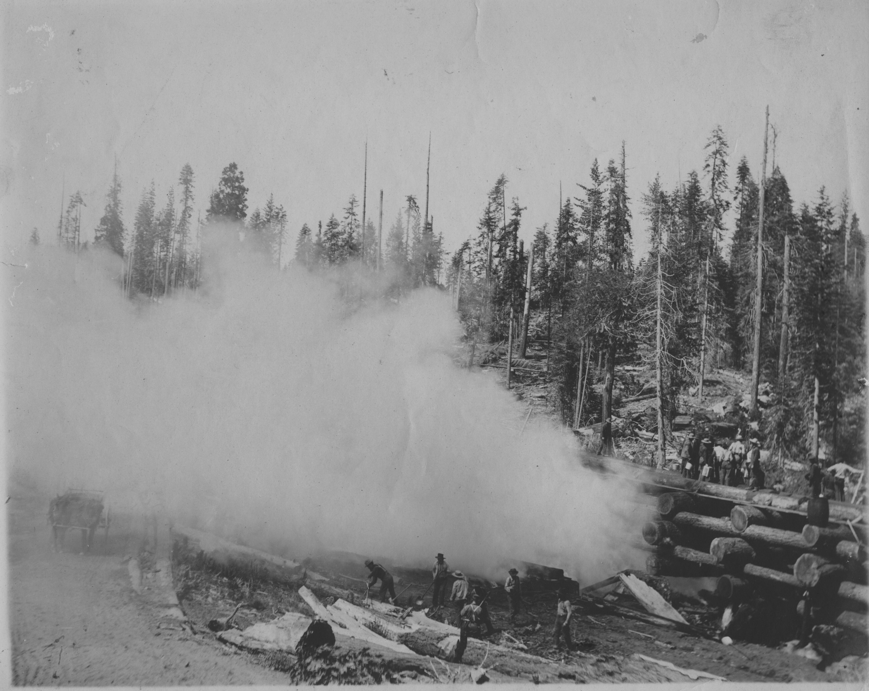 SEKI Roberts Collection Series: 3 Prints; 2 Medium; 8 Logging