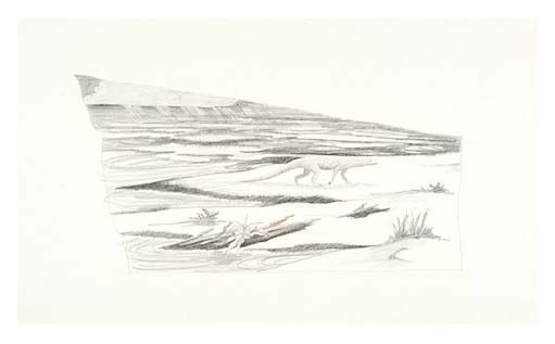 Conjectural scene of a prehistoric creature now found fossilized within similar underlying strata in Capitol Reef National Park.