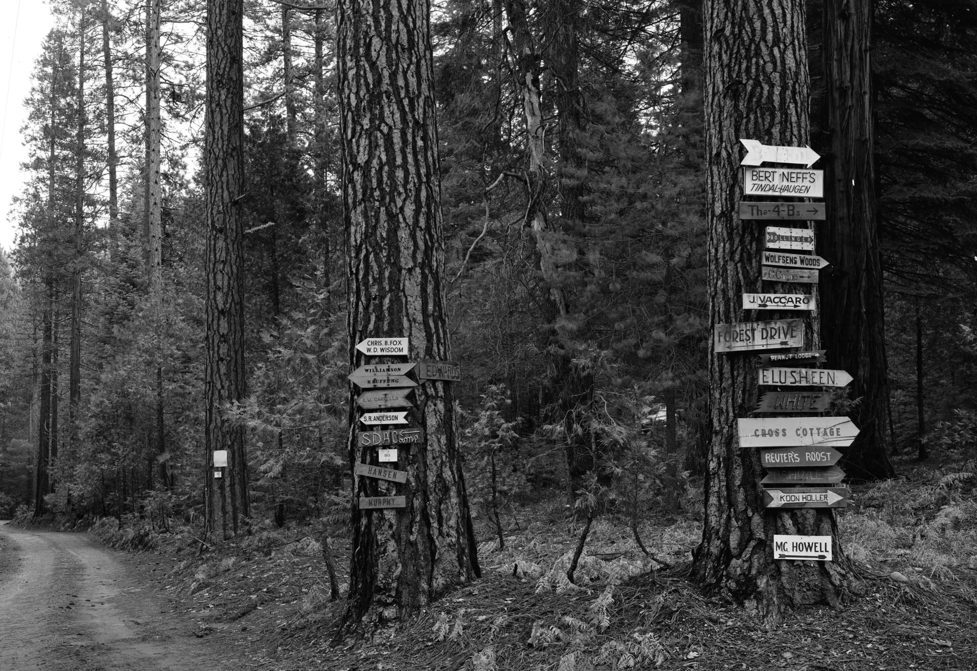 Private land development on Section 35, Wawona.