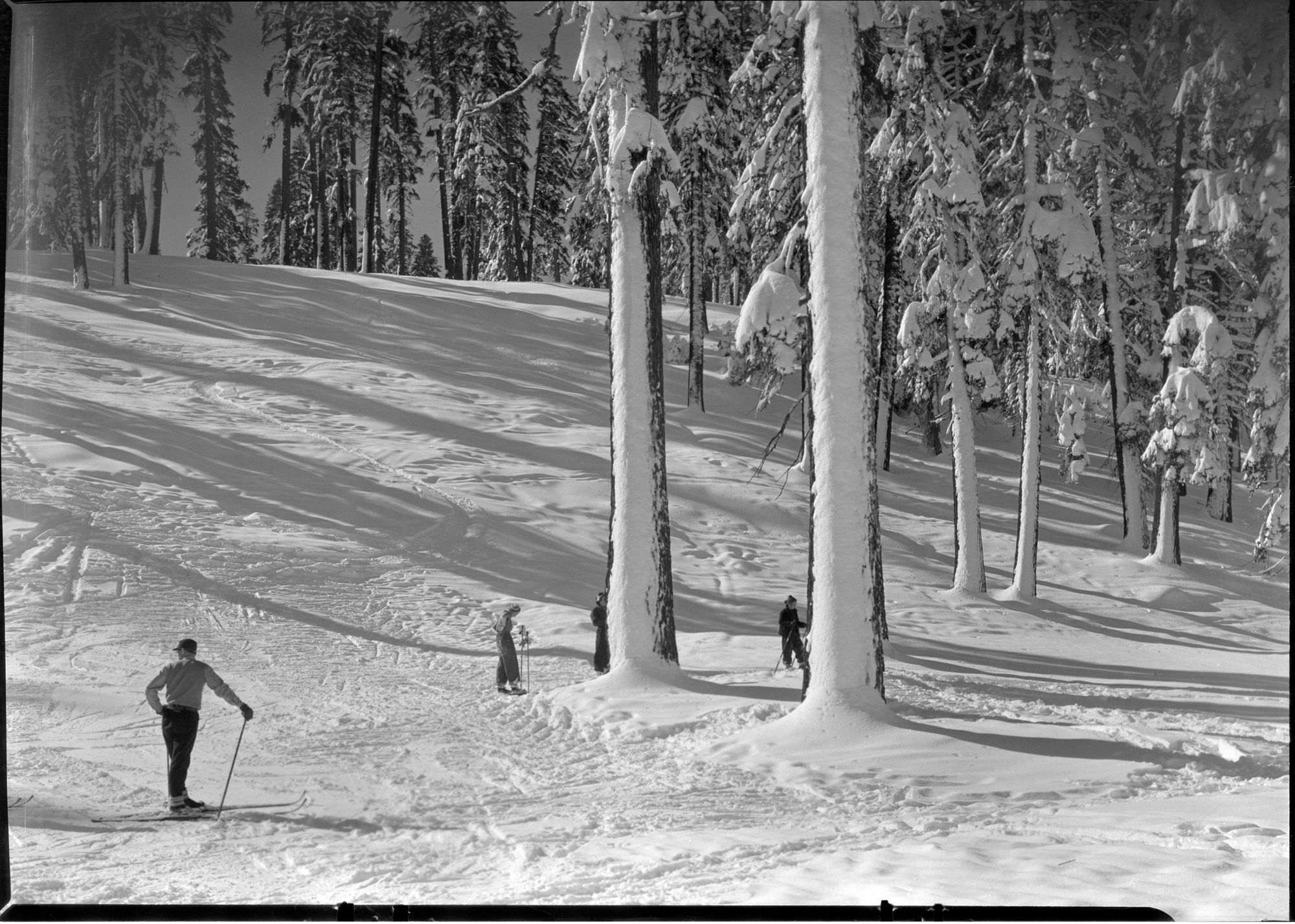 Ski slopes at Badger Pass after a snowstorm.