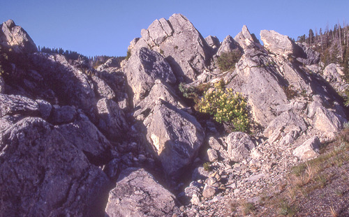 Angular large blocks of rocks leaning upward to the left with blue sky in the background.
