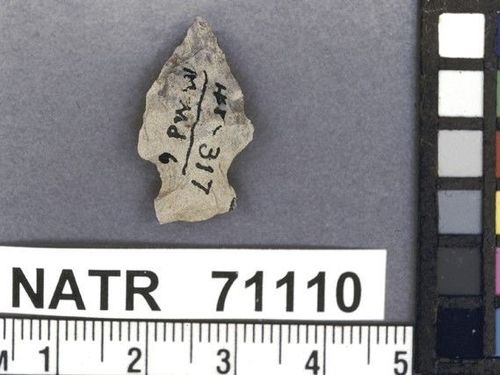 NATR   71110 -- Bayogoula Fishtail projectile point