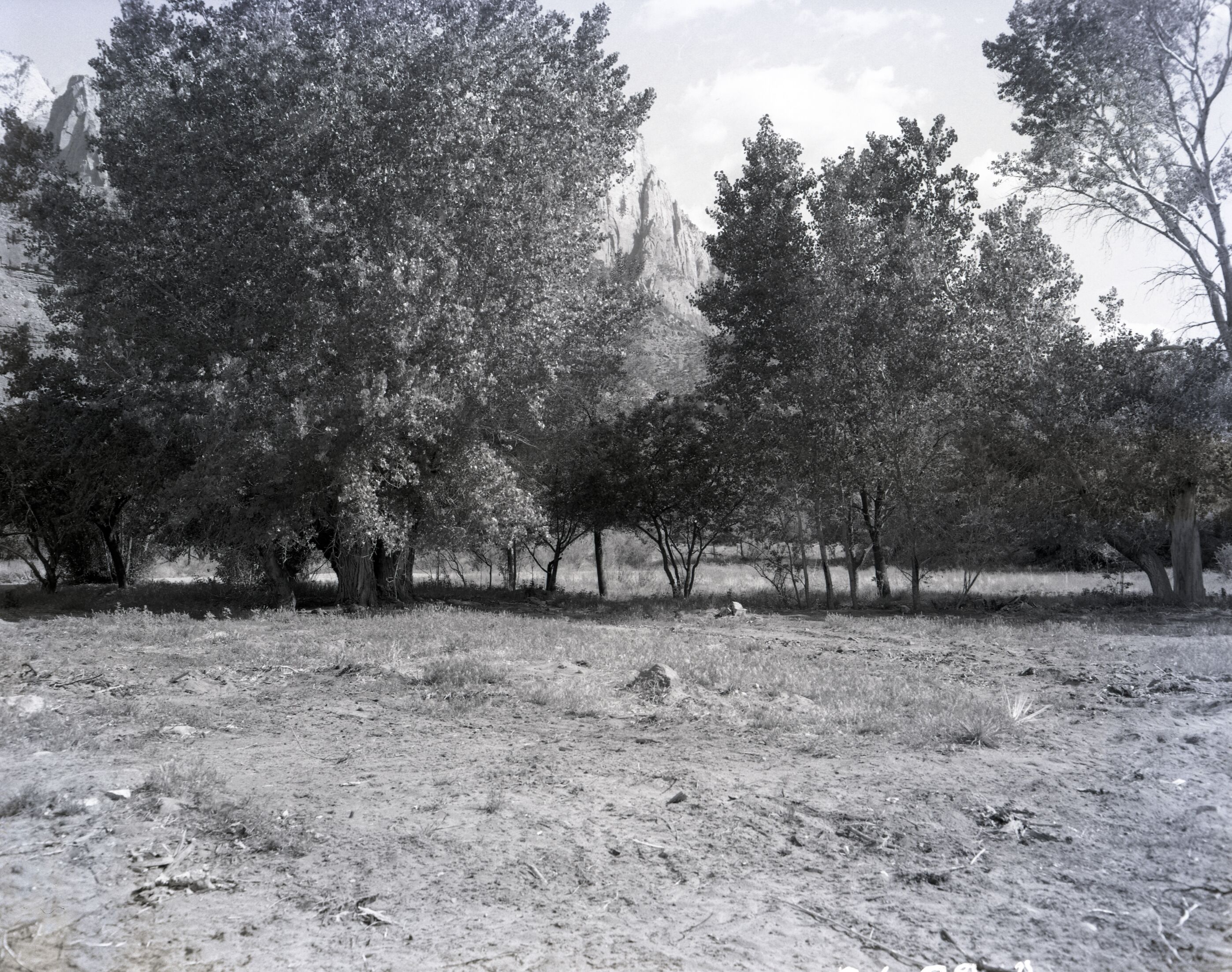 Samuel Crawford property after removal of sheds.