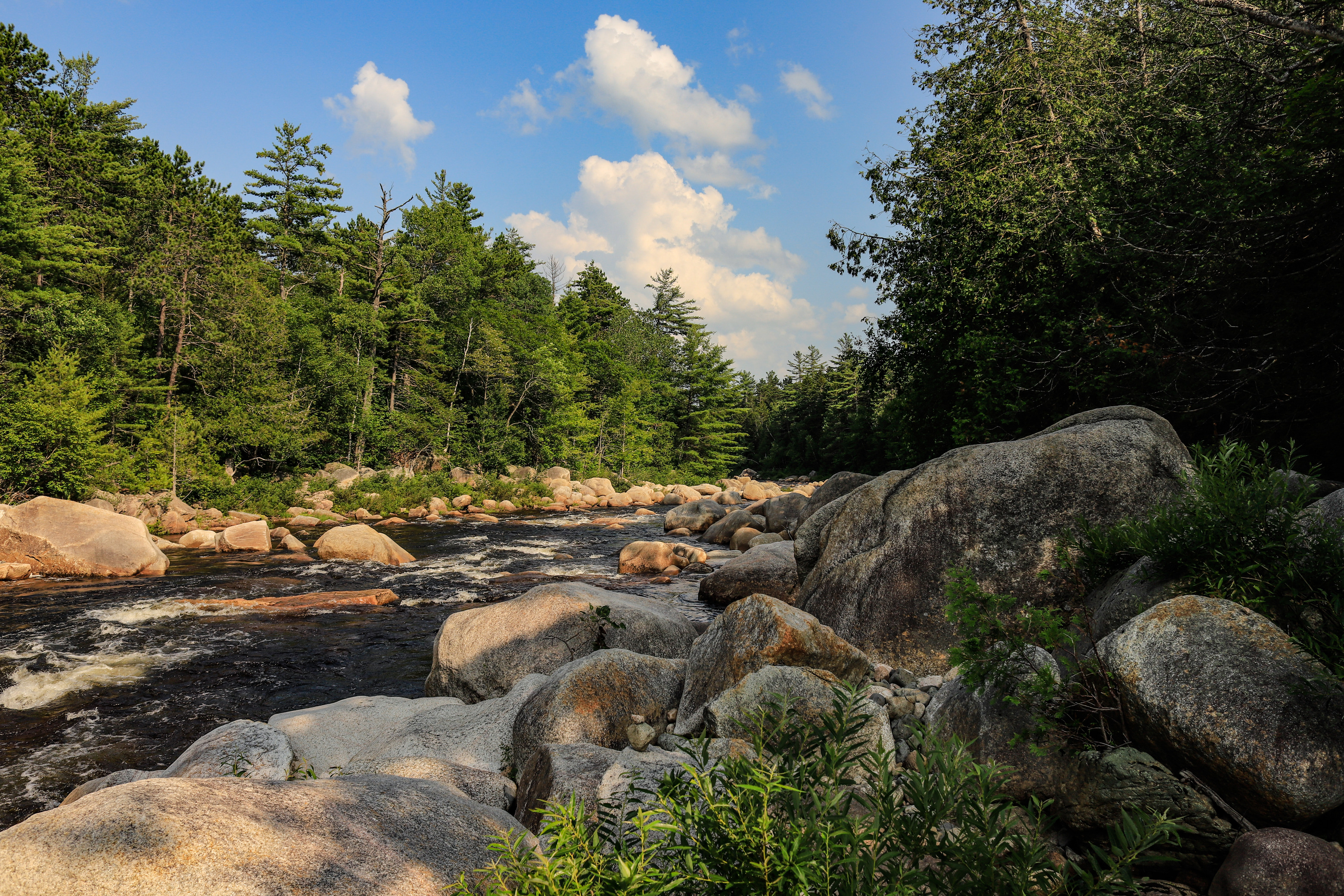 Landscape of a river lined with large boulders and pine trees under a blue sky