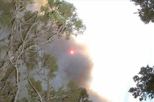 Full fire with black smoke in wooded areas during Long Mesa Fire at Mesa Verde National Park, July 29-Aug. 4, 2002