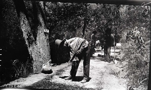 Narrows Trail construction with workmen spraying bitumuls 150 on the locking course.