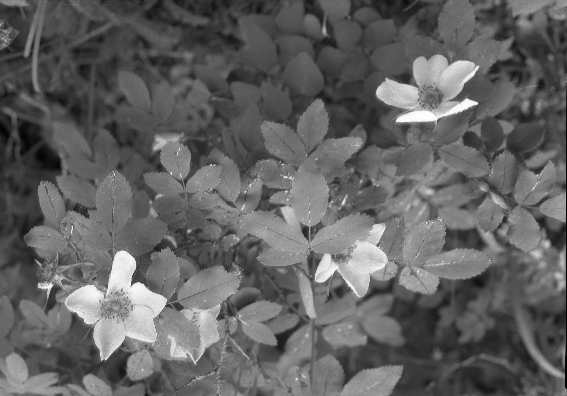 Rocky Mountain National Park