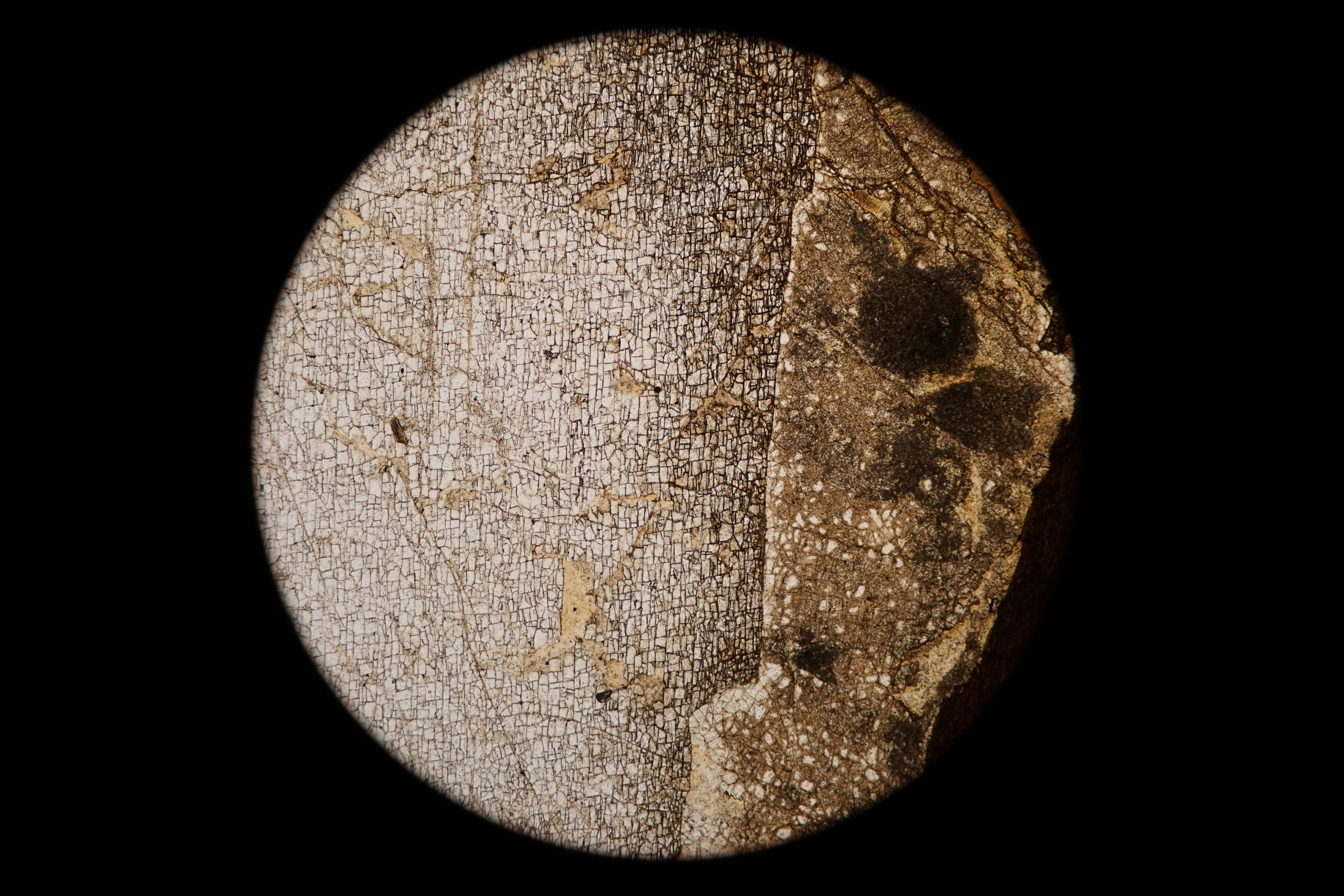 Circular microscopic image of rock structure.