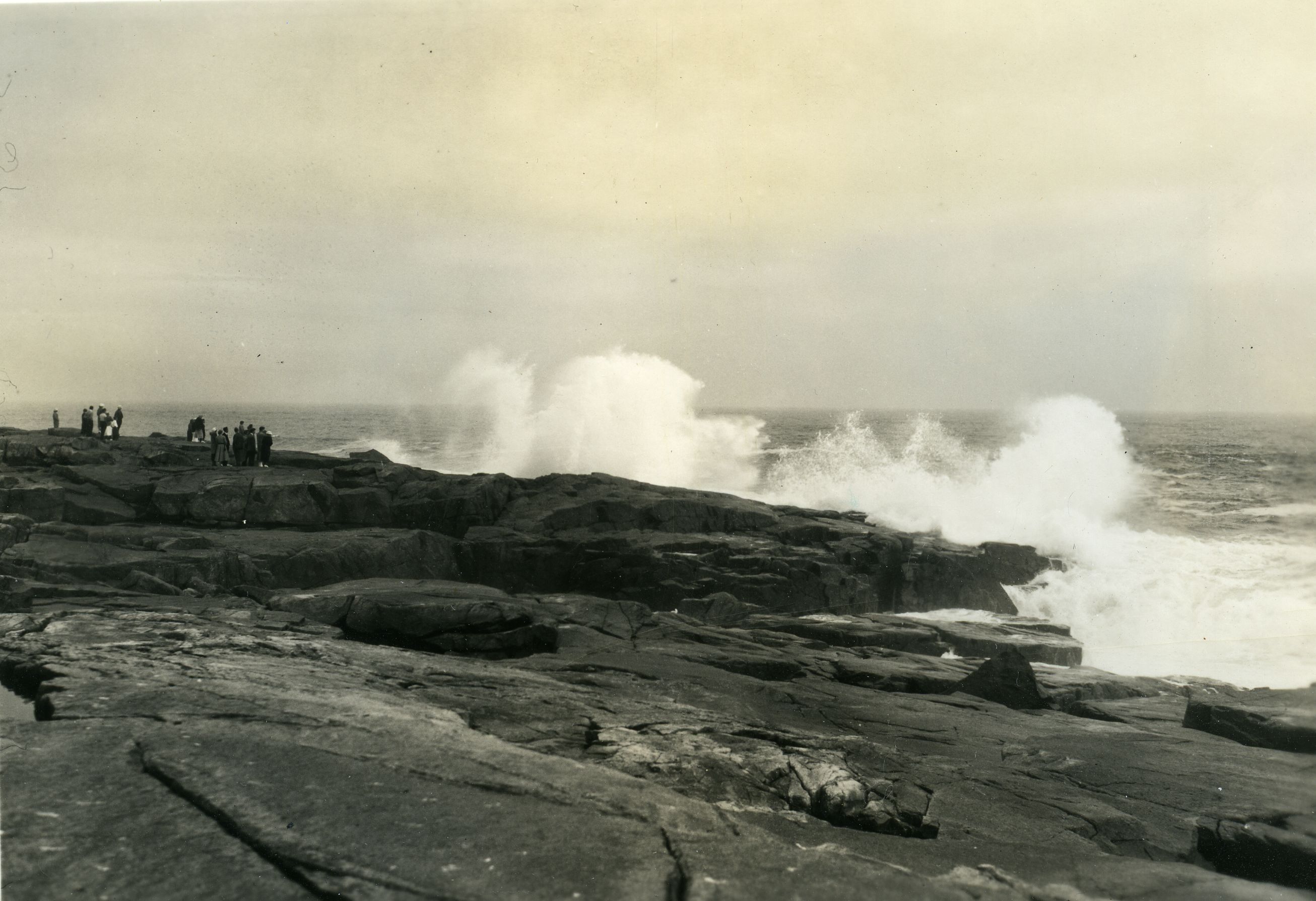 SURF, SCHOODIC POINT.