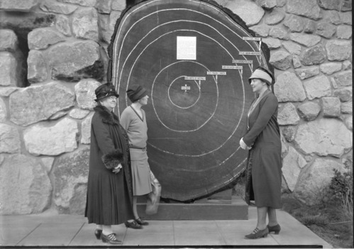L to R: Mrs. Burdette, Miss Walker & Miss Parkhurst (friends of Stephen Mather at the Yosemite Musuem.)