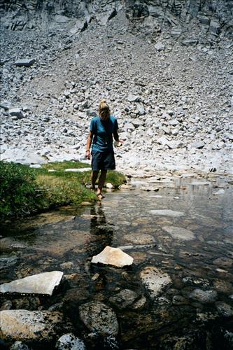 Mountain yellow-legged frog restoration project, Sequoia and Kings Canyon National Parks, 2001-2003