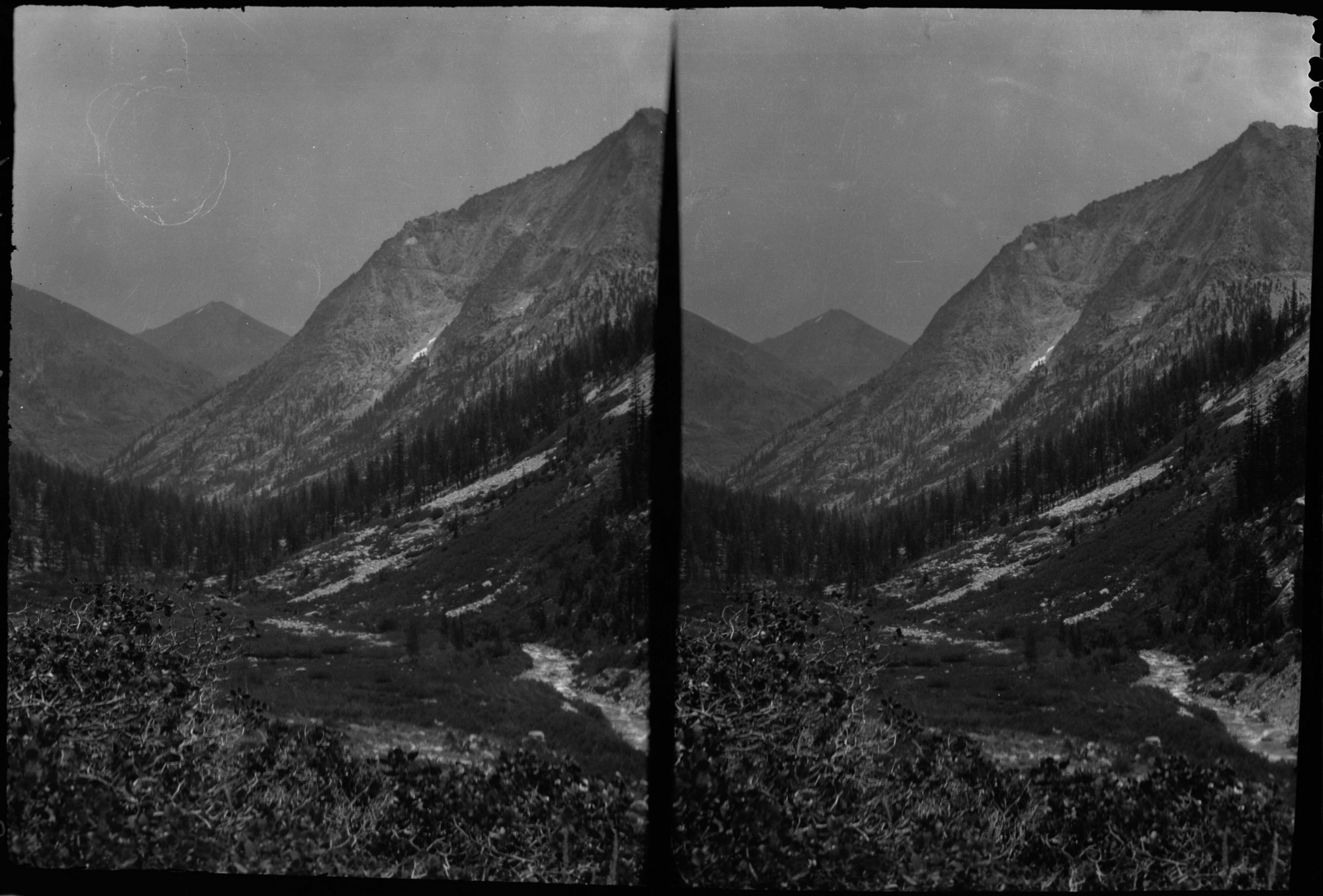 SEKI Roberts Collection Series: 2 Negatives; 15 Stereographs