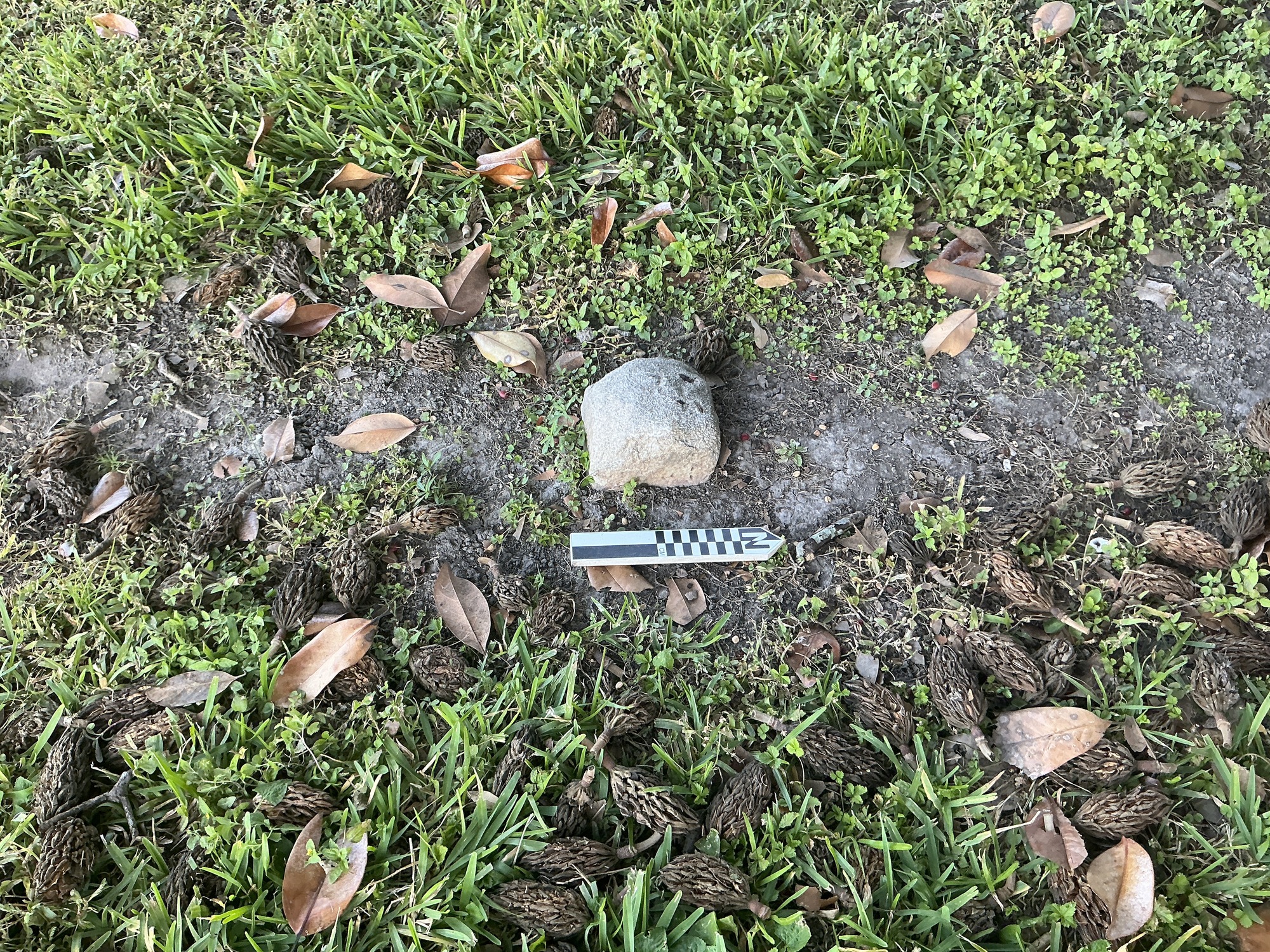 Extra image of flat marble marker