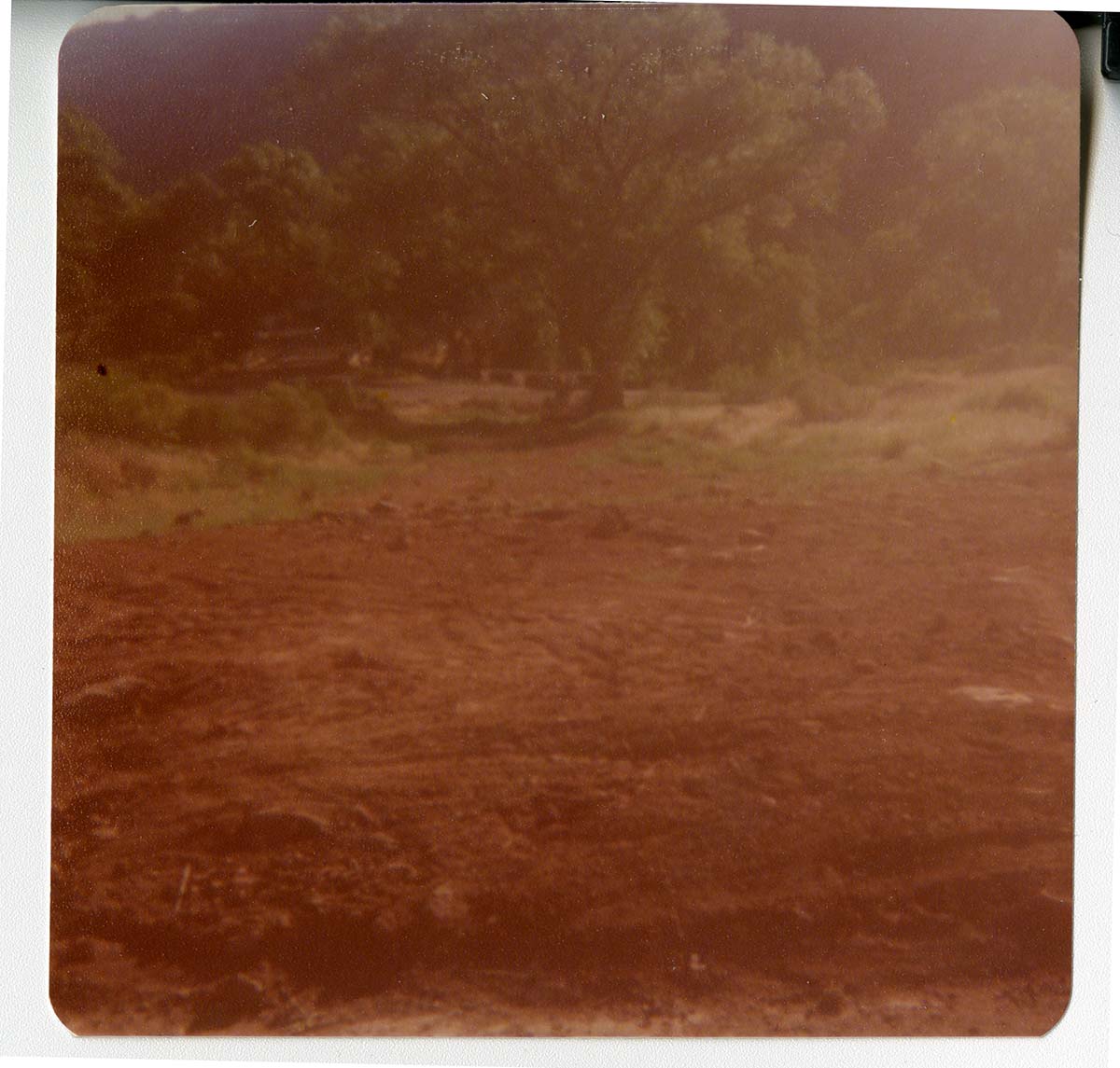 The Springdale water pipeline during construction.