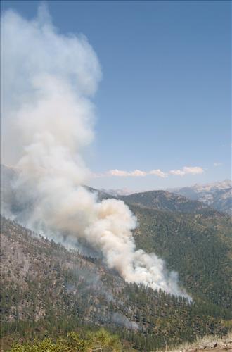 Fire monitors observe fire activity on the Comb Complex wildfire, Sequoia and Kings Canyon National Parks, July 2005